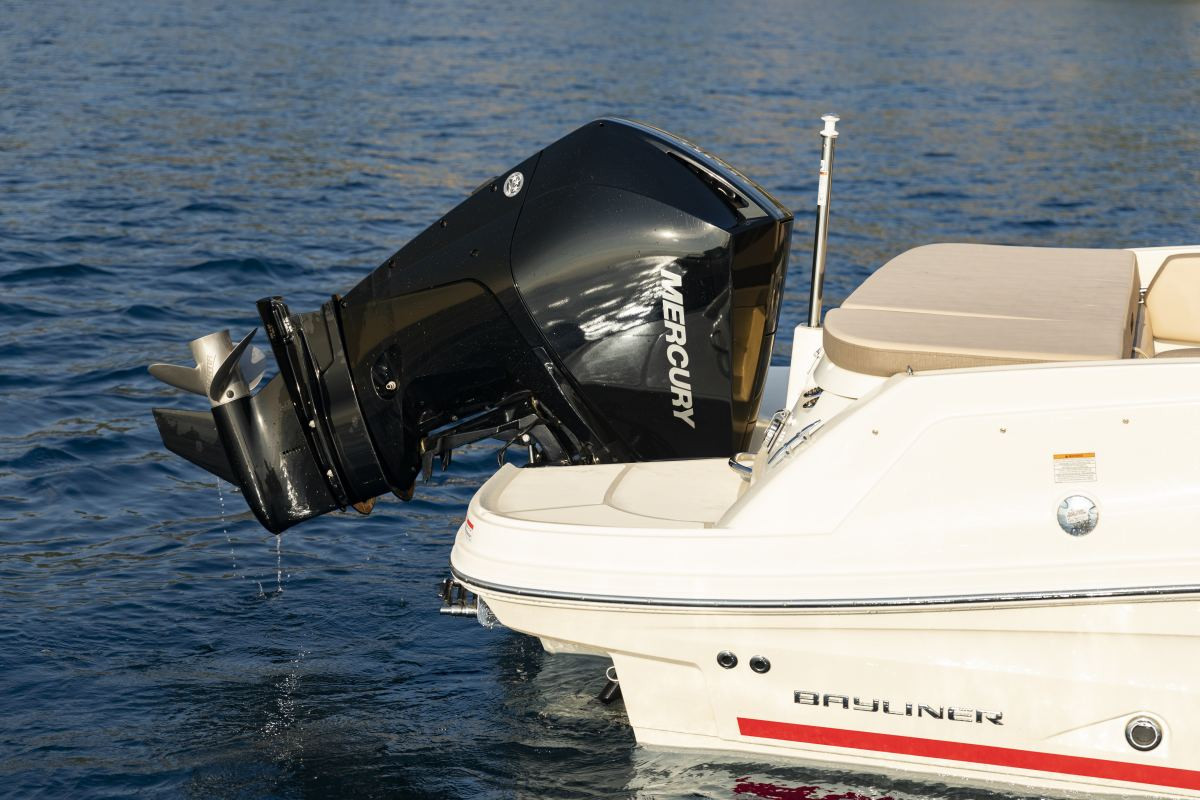 Bayliner VR6 Cuddy - 11